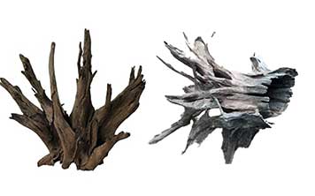 New from Aquarium Münster: Corbo Root and Corbo Stump